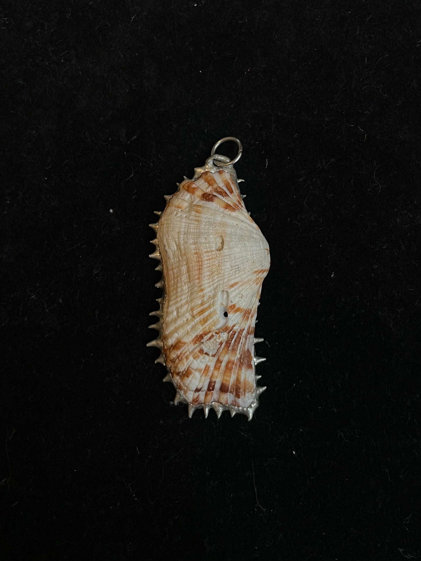 Angel Shell Pendant
