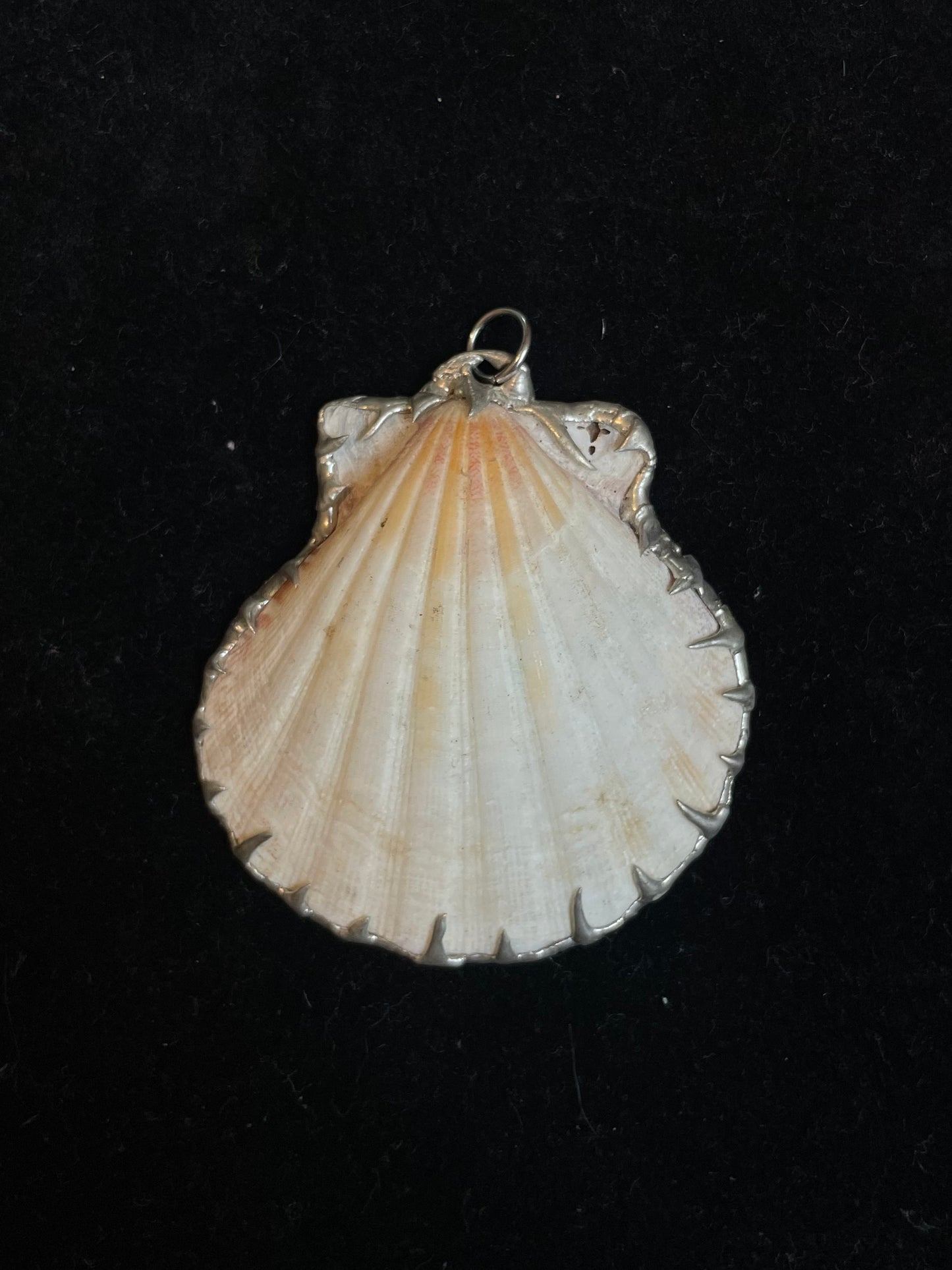 Sunset Shell Pendant