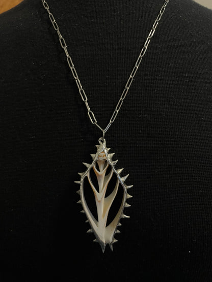 Skeleton Shell Necklace
