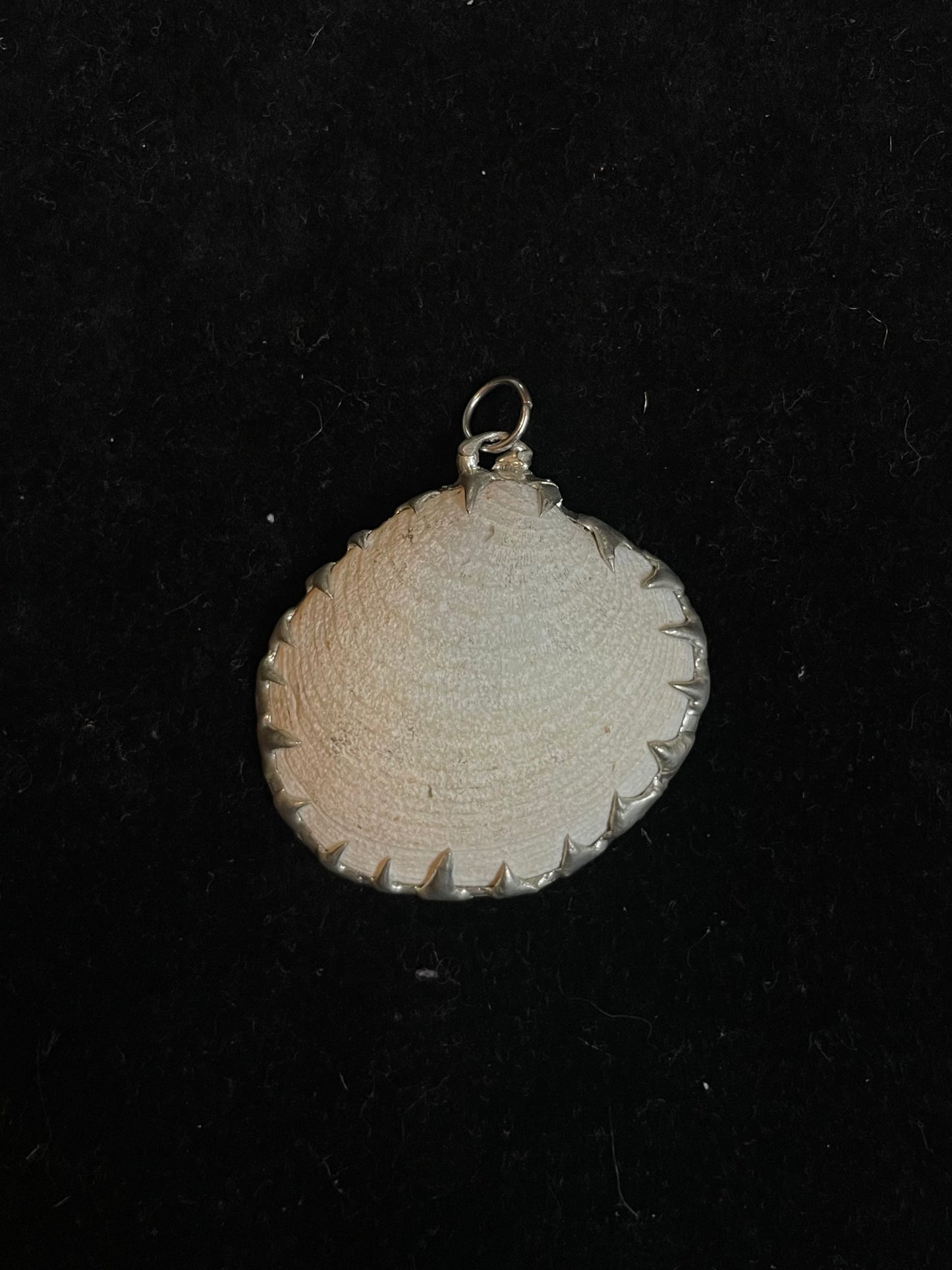 Shell Pendant I