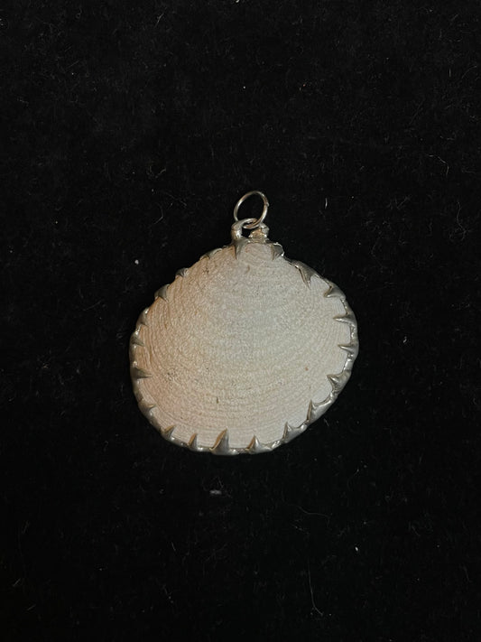 Shell Pendant I